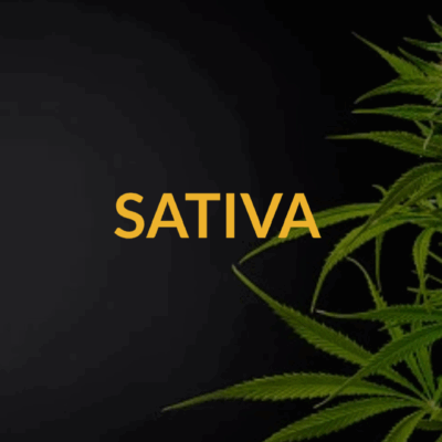 SATIVA CANNABIS FLOWER