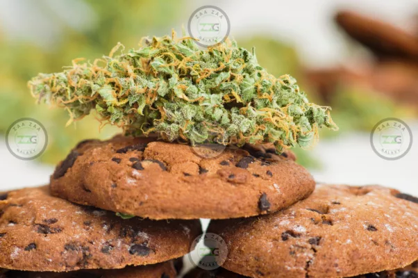 Cooking with Cannabis with Zaa Zaa Galaxy