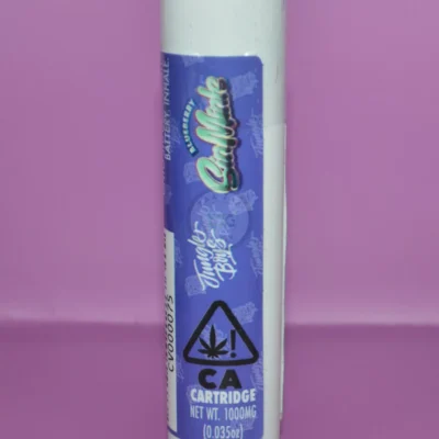 JUNGLE BOYS CARTS BLUEBERRY SINMINTS