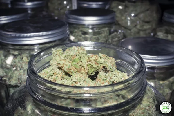 Cannabis Product Preservation