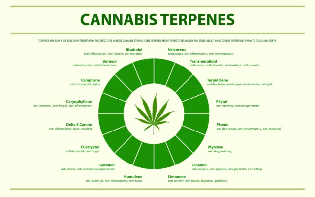 Maximizing the Terpene Experience