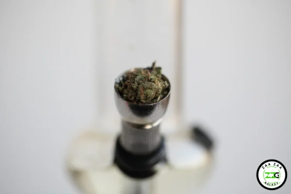 Cannabis Microdosing