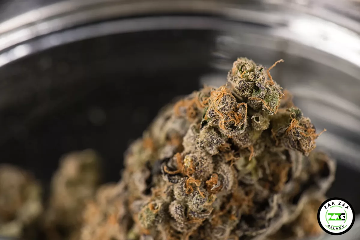 Sustainable Cannabis: Eco-Friendly Practices