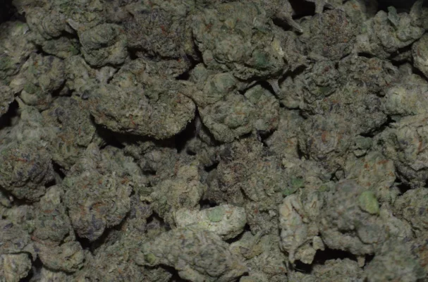 Strain Profile Jealousy