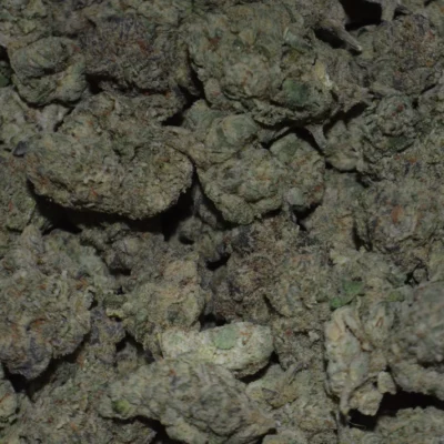 Strain Profile Jealousy