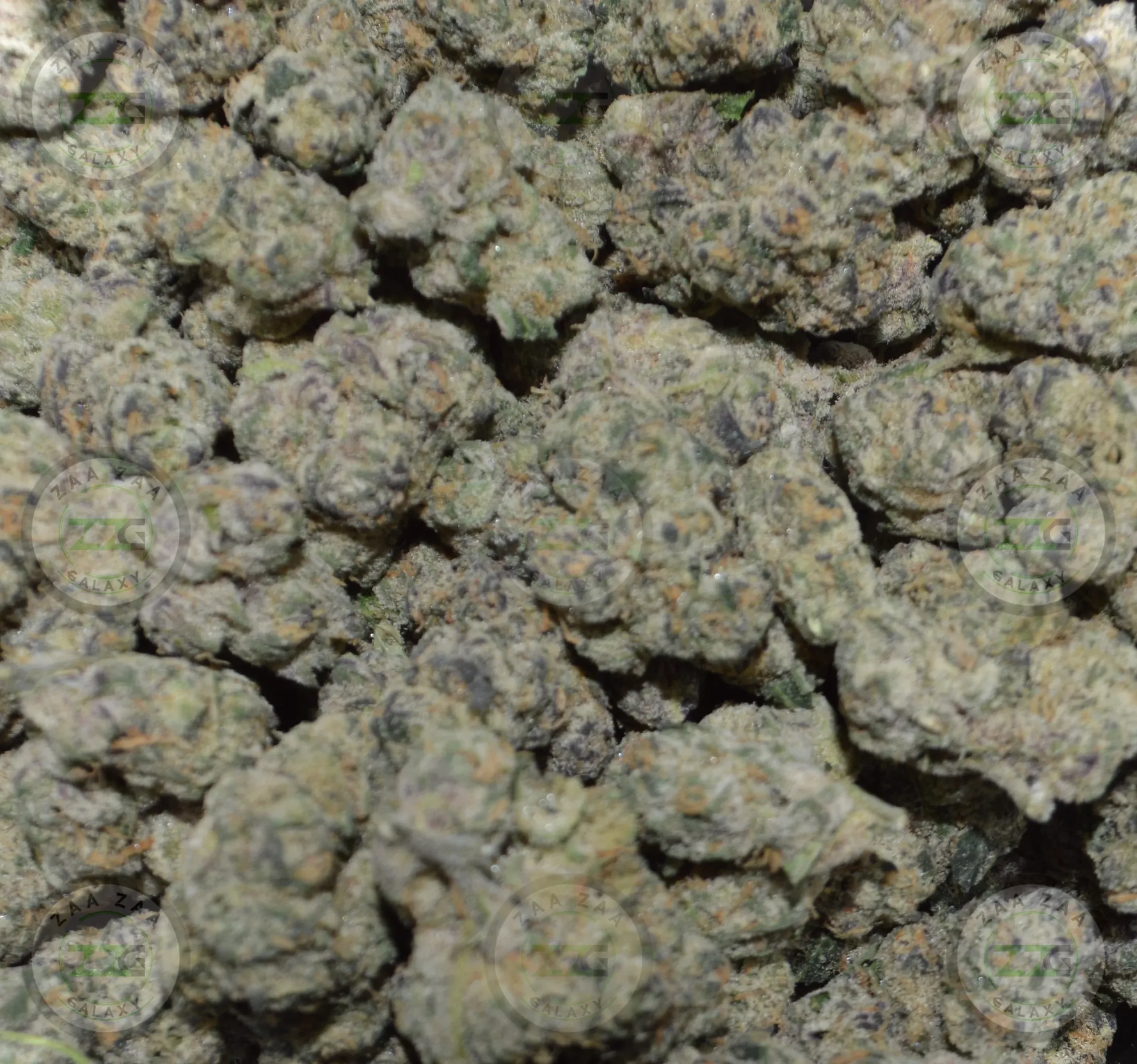 Strain Profile Strawberry Lemonade Zaa Zaa Galaxy Cannabis Dispensary DC