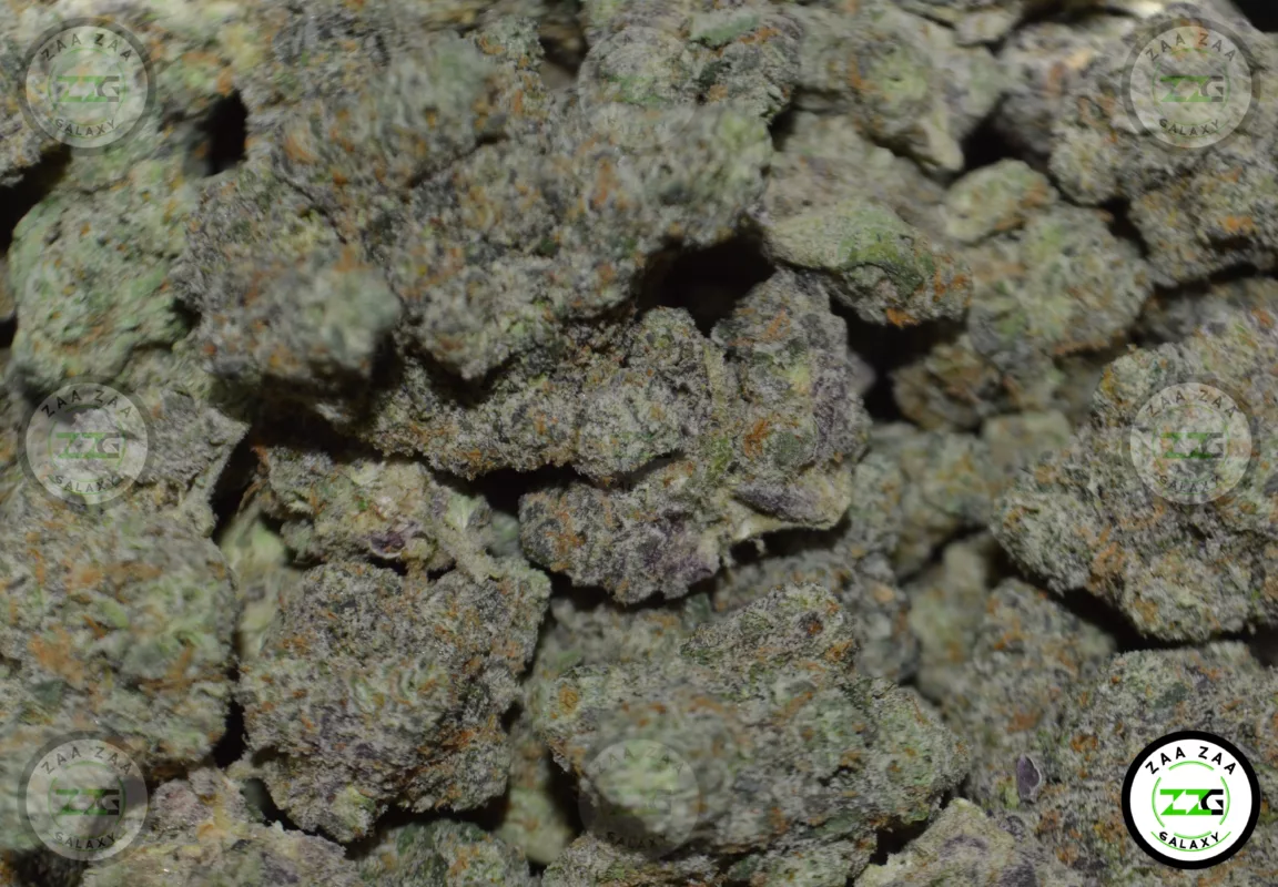 Strain Profile Durban Poison