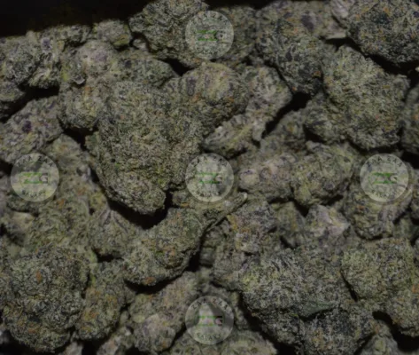 Blackberry Dream Cannabis