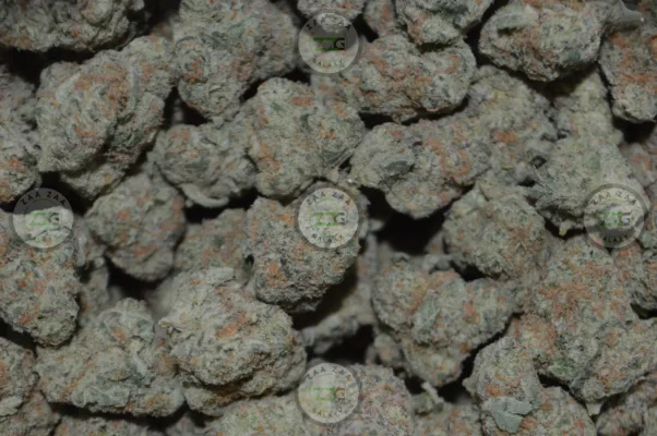 Strain Profile Green Crack