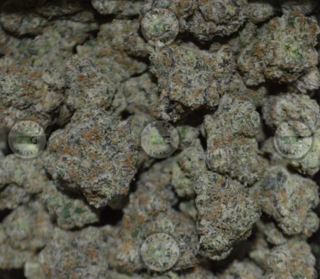 Khalifa Kush Cannabis