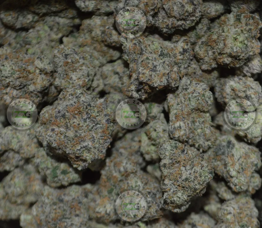 Khalifa Kush Cannabis