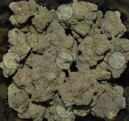 SPACE QUEEN Cannabis