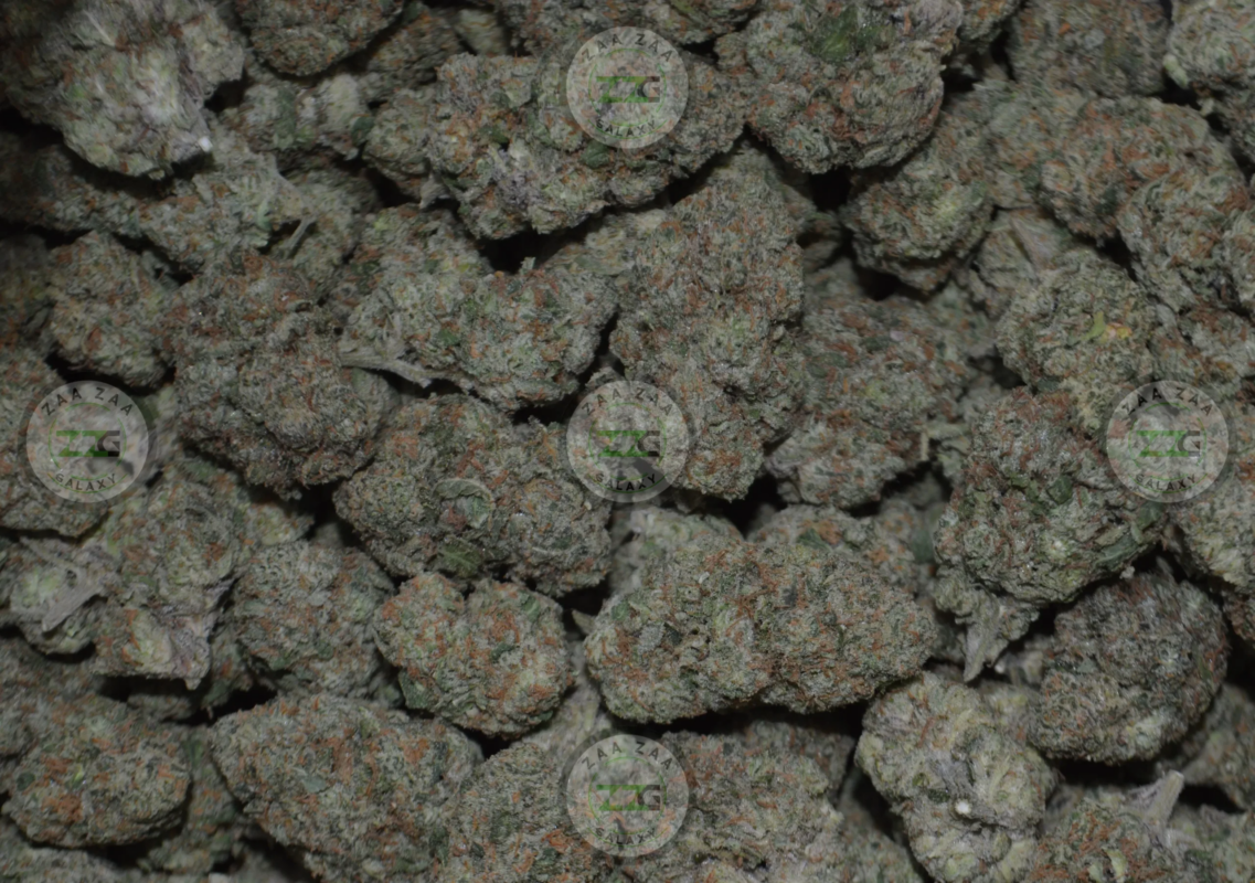 Strain Profile Tangie Land