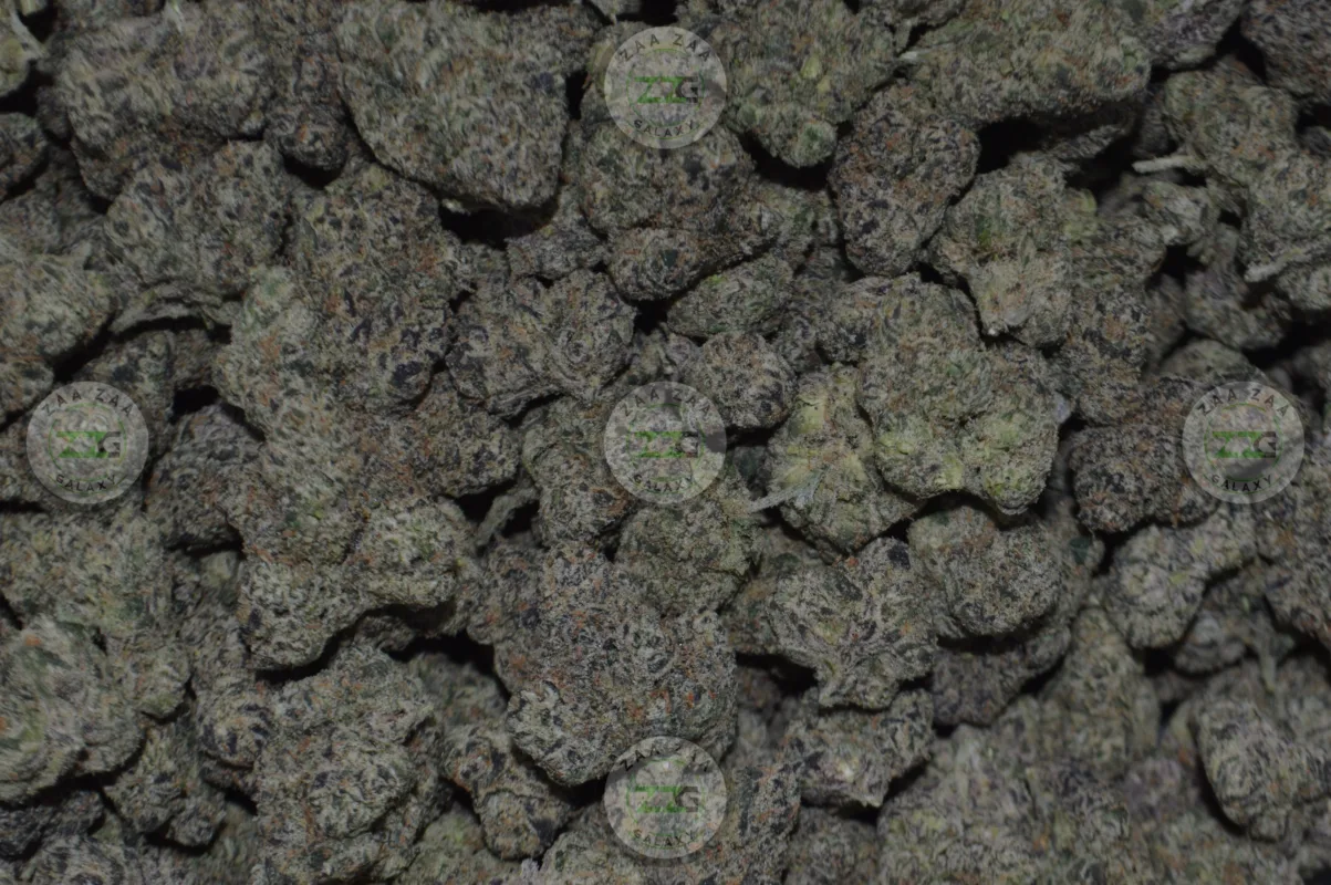 White Cherry OG Cannabis