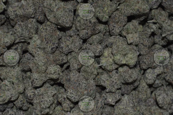 White Cherry OG Cannabis