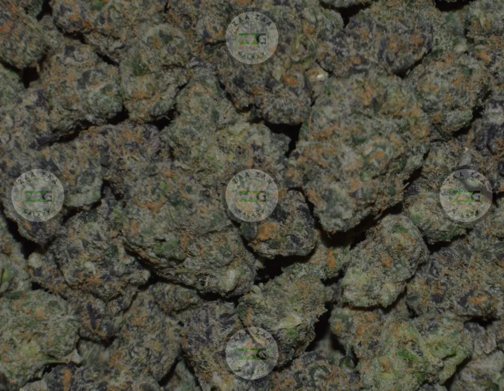 Truffle Sundae Cannabis