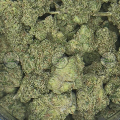 Donny Burger Cannabis
