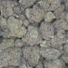 FORUM COOKIES CANNABIS