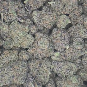 FORUM COOKIES CANNABIS