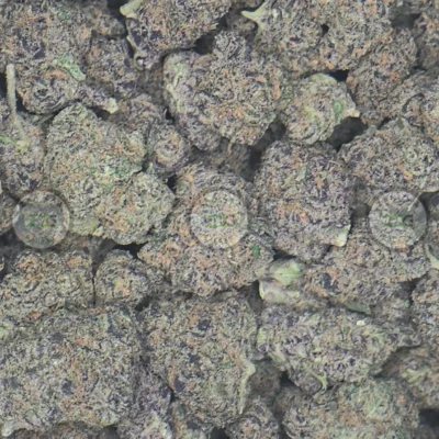 FORUM COOKIES CANNABIS