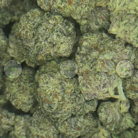 GRAPE FLUFF CANNABIS