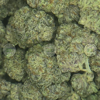 GRAPE FLUFF CANNABIS
