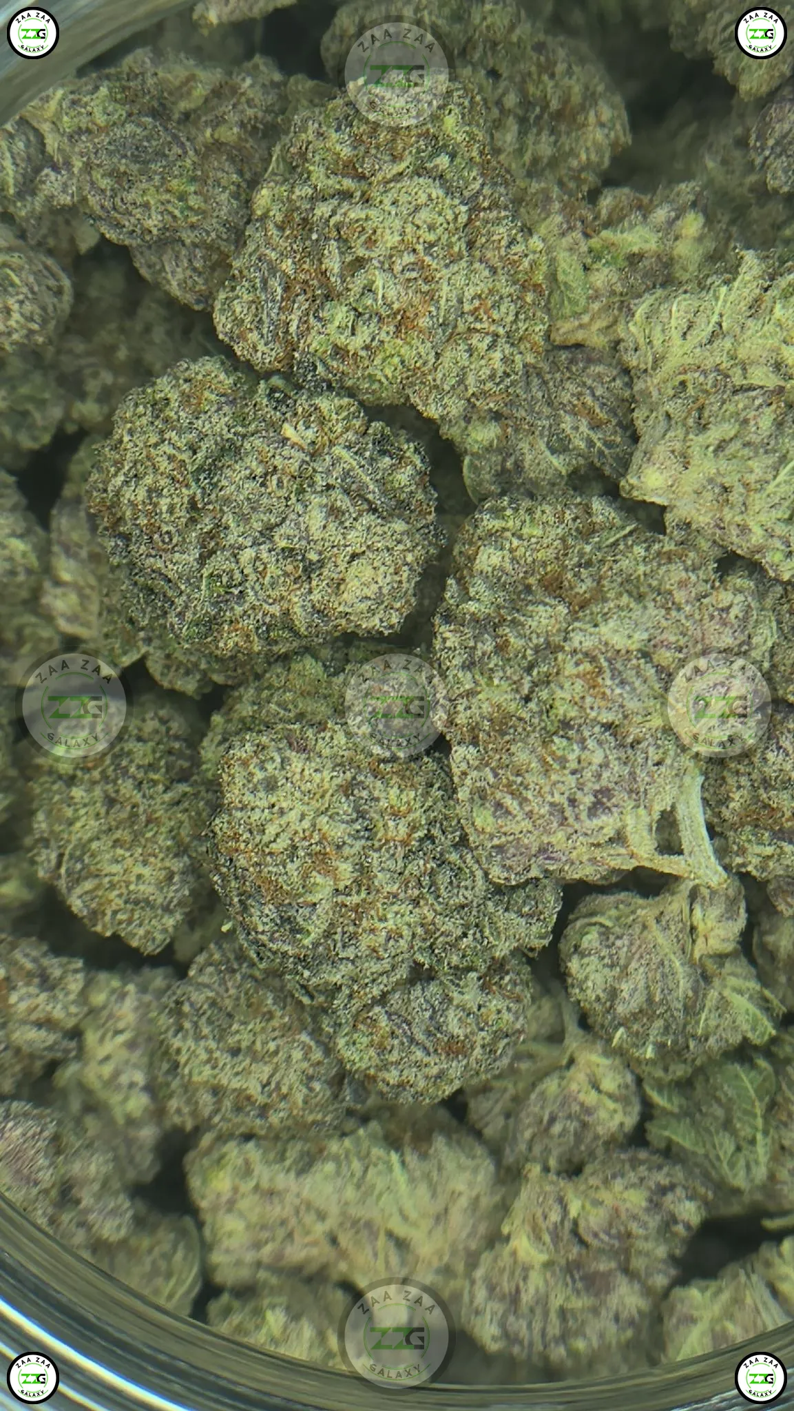 GRAPE FLUFF CANNABIS