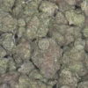 GRAPELATO CANNABIS