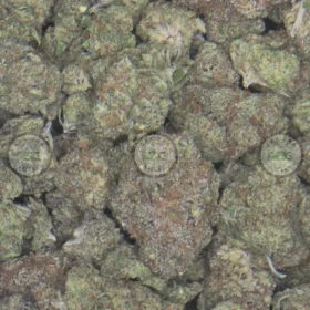 GRAPELATO CANNABIS
