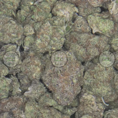 GRAPELATO CANNABIS