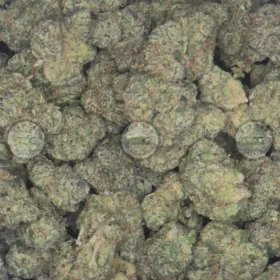 Pineapple Macaroon Cannabis Strain