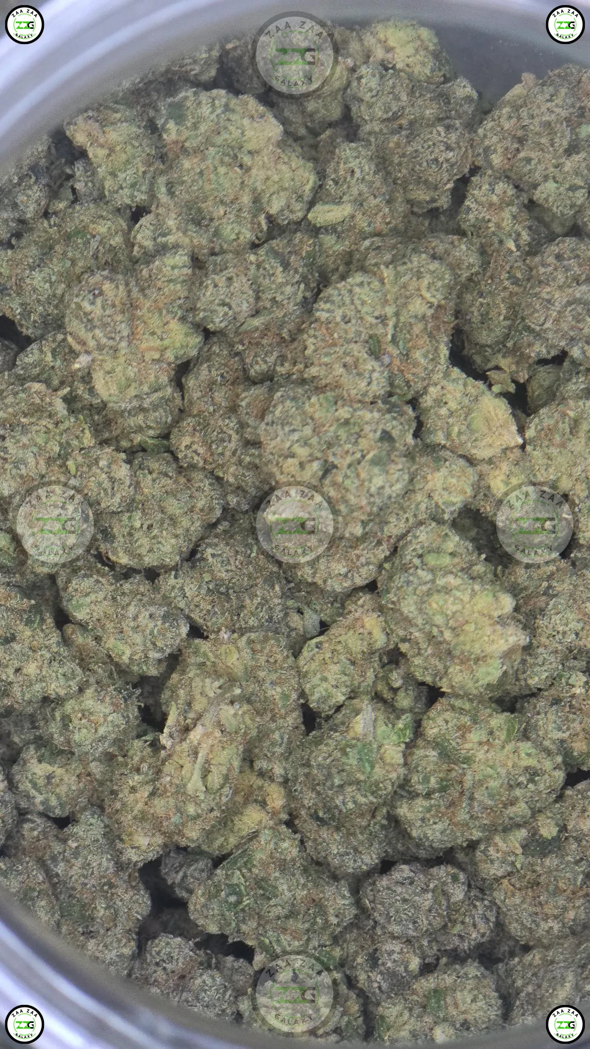 Pineapple Macaroon Cannabis Strain