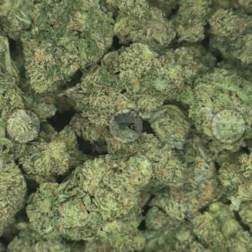 TRAINWRECK CANNABIS