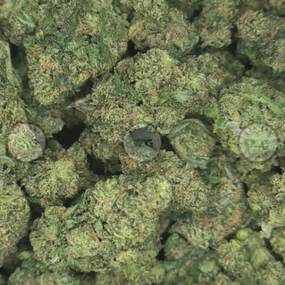 TRAINWRECK CANNABIS