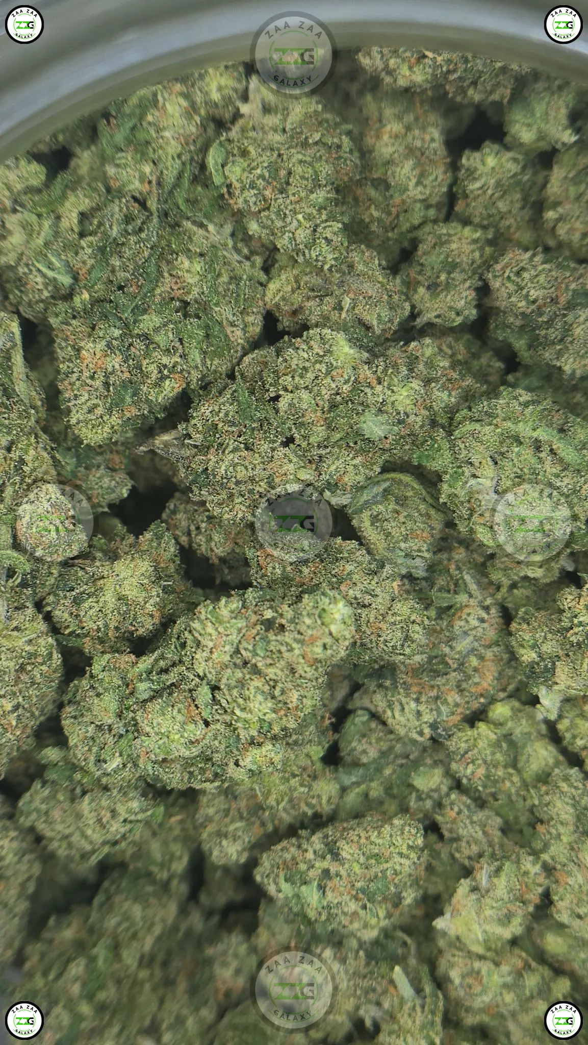 TRAINWRECK CANNABIS