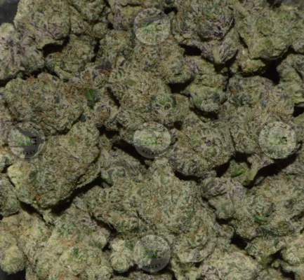 Amnesia Haze Cannabis In DC