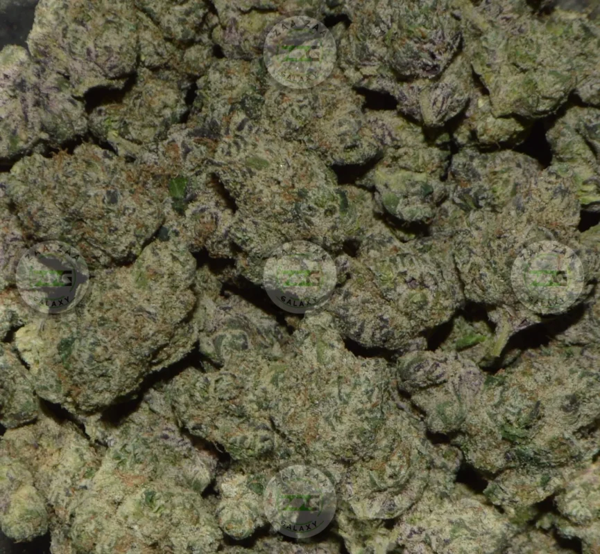 Amnesia Haze Cannabis In DC