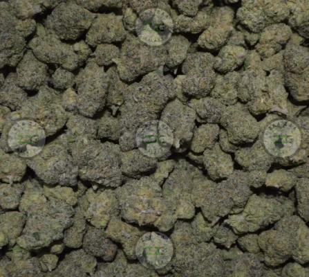 Warhead Cannabis in DC