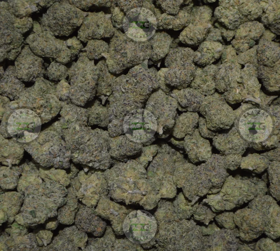 Warhead Cannabis in DC