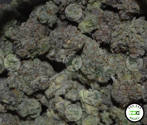 Dark Phantom Cannabis in DC