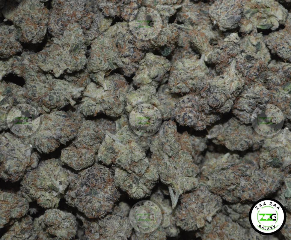 J1 Cannabis in DC