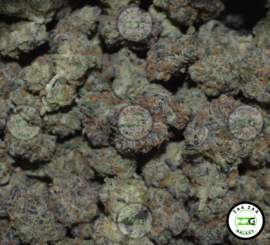 Lemon Meringue Cannabis in DC