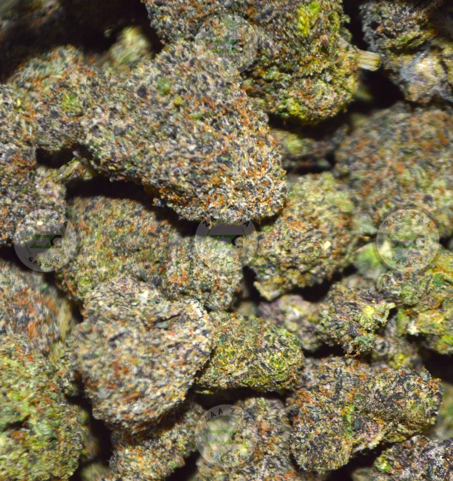 Mochi Cannabis in DC