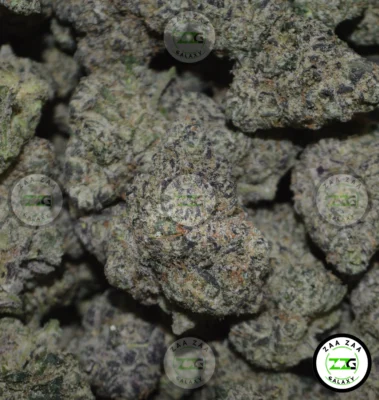 Skilatti Cannabis in DC