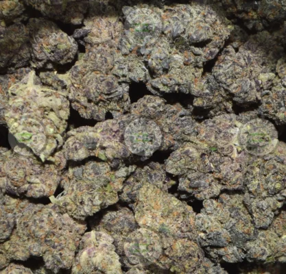 Banana Splits Cannabis in DC