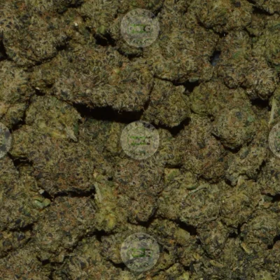 WHITE RHINO CANNABIS