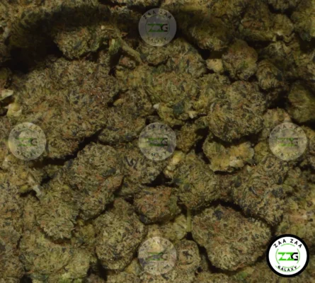 Blue Runtz Cannabis in DC