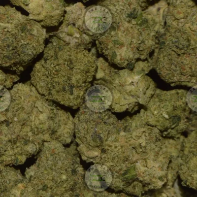 Super Silver Haze Cannabis