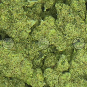 TRIPLE BURGER CANNABIS