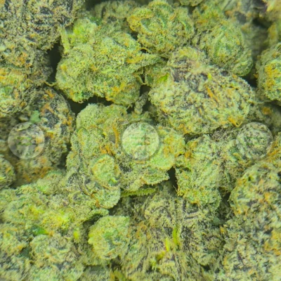 BLACK AMBER weed strain